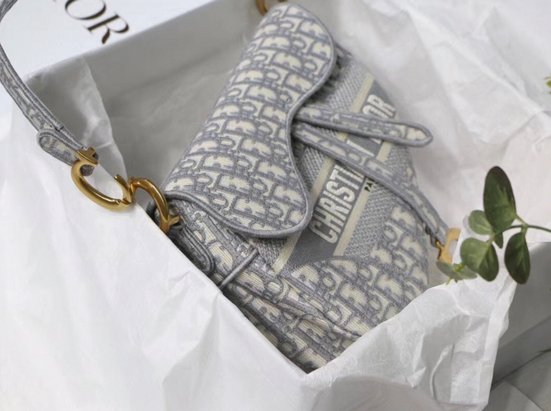 D10r Saddle Bag Knockoff in Grey D10r Oblique Embroidery