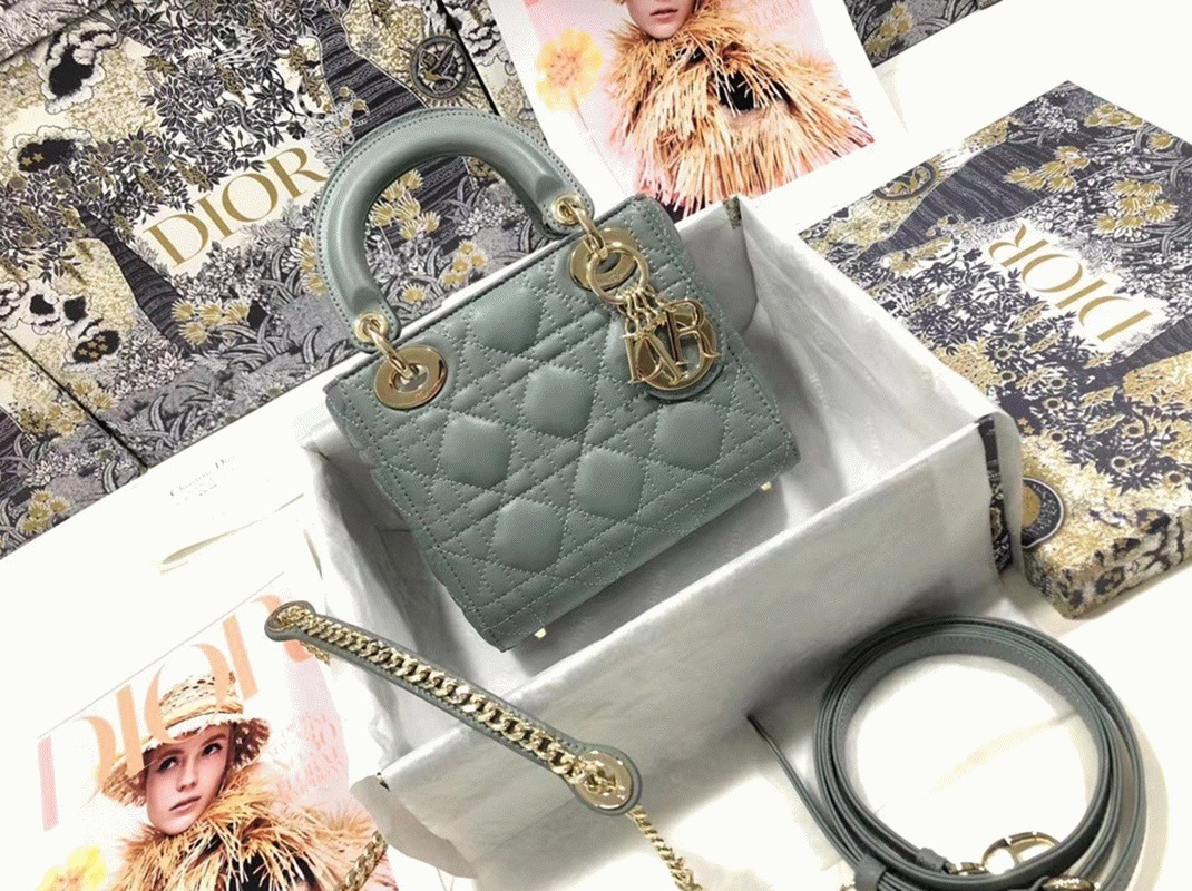 D10r Lady D10r Mini Bag Replica in Grey