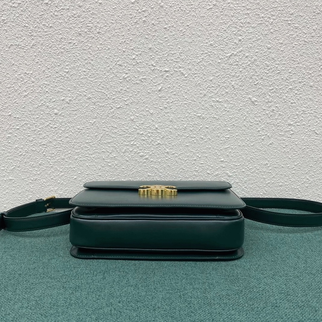 Top Quality Fake Ce1i*e Triomphe Large Bag In Amazone