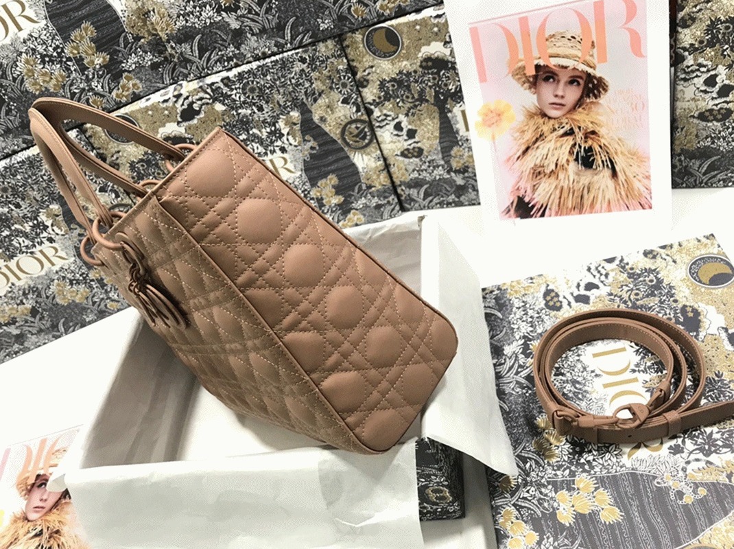 D10r Lady D10r Large Bag Knockoff in Blush