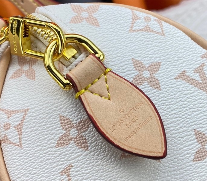 L0vis Vvtt0n Monogram Dune Canvas Speedy 20 Handbag With Strap